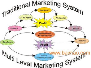 直销系统软件开发与推广网站搭建全攻略